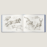 Лимитированная подарочная книга HERMES Fierce and Fragile book, English version варинант исполнения - 4 | Loft Concept в Челябинске