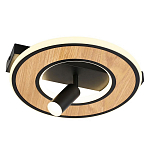 Потолочный светильник круглый GAVIN WOOD варинант исполнения - 1 | Loft Concept в Челябинске