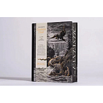 Книга Fantastic Gustave Dore варинант исполнения - 3 | Loft Concept в Челябинске