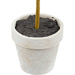 Декоративный искусственное растение Boxwood One варинант исполнения - 3 | Loft Concept в Челябинске