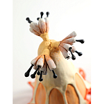 Статуэтка тропический фрукт Pandora Tropical Fruit Orange варинант исполнения - 3 | Loft Concept в Челябинске