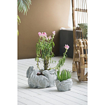 Кашпо A collection of baby rabbits варинант исполнения - 4 | Loft Concept в Челябинске