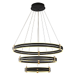 Люстра светодиодная с 3-мя плафонами в форме колец из акрила и алюминия с пультом для регулировки света Ring Horizontal Anthracite варинант исполнения - 1 | Loft Concept в Челябинске