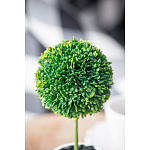 Декоративный искусственное растение Boxwood One варинант исполнения - 8 | Loft Concept в Челябинске