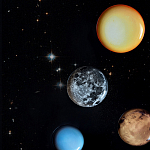 Блюдо Seletti Sun варинант исполнения - 6 | Loft Concept в Челябинске