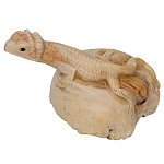 Статуэтка из дерева ящерица Animals of the World варинант исполнения - 2 | Loft Concept в Челябинске