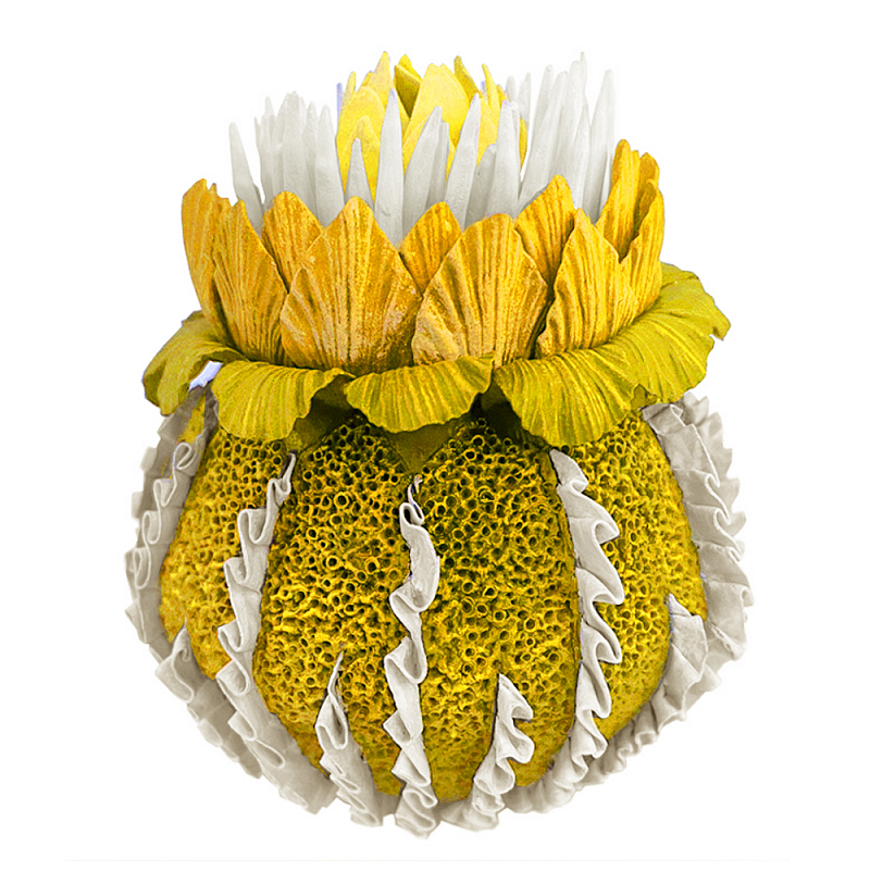 Желтый Экзотический фрукт Yellow Pandora Exotic Fruit 44 Желтый Желтый Экзотический фрукт Yellow Pandora Exotic Fruit 44 Желтый в Челябинске | Loft Concept