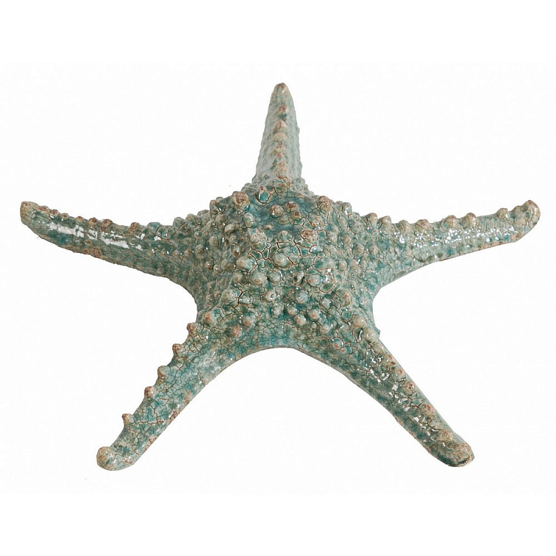 Аксессуар Starfish Бирюзовый Серый Аксессуар Starfish Бирюзовый Серый в Челябинске | Loft Concept
