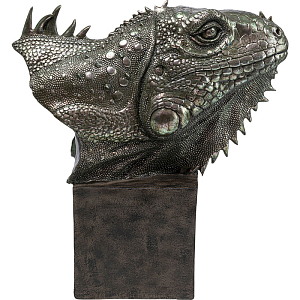 Аксессуар Iguana