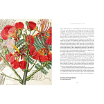 Прекрасно иллюстрированная книга более 100 ботанических произведений Plant Hunters Atlas варинант исполнения - 5 | Loft Concept в Челябинске