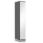 Шкаф-пенал с зеркальной дверцей и фасадом цвета графит Strict Lines варинант исполнения - 2 | Loft Concept в Челябинске