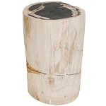 Стул из окаменелого дерева Petrified Wood варинант исполнения - 1 | Loft Concept в Челябинске