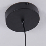 Люстра подвесная светодиодная черный металл Ring Horizontal варинант исполнения - 6 | Loft Concept в Челябинске