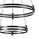 Люстра светодиодная с 2-мя плафонами в форме колец из акрила и алюминия с пультом для регулировки света Ring Horizontal Black варинант исполнения - 1 | Loft Concept в Челябинске
