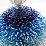 Статуэтка Синий тропический фрукт Tropical Fruit Pandora 4 варинант исполнения - 1 | Loft Concept в Челябинске