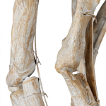 Люстра круглая в виде веток деревьев Natural Driftwood варинант исполнения - 3 | Loft Concept в Челябинске