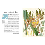 Прекрасно иллюстрированная книга более 100 ботанических произведений Plant Hunters Atlas варинант исполнения - 3 | Loft Concept в Челябинске