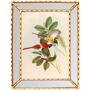 Постер с изображением птиц и цветов в зеркальной раме Blooming Birds Poster