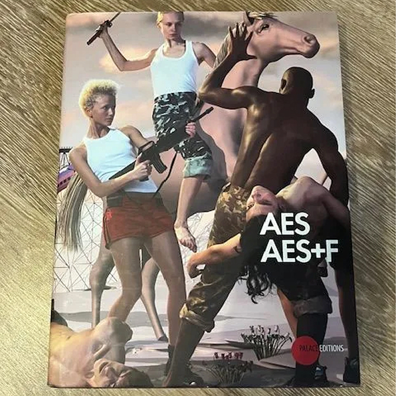 Подарочный Альбом группы AES AES+F  в Челябинске | Loft Concept 