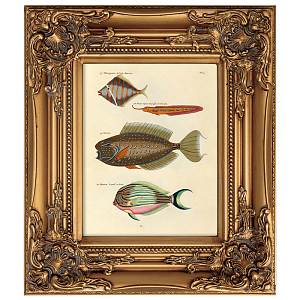 Постер в раме из натурального дерева Fishes