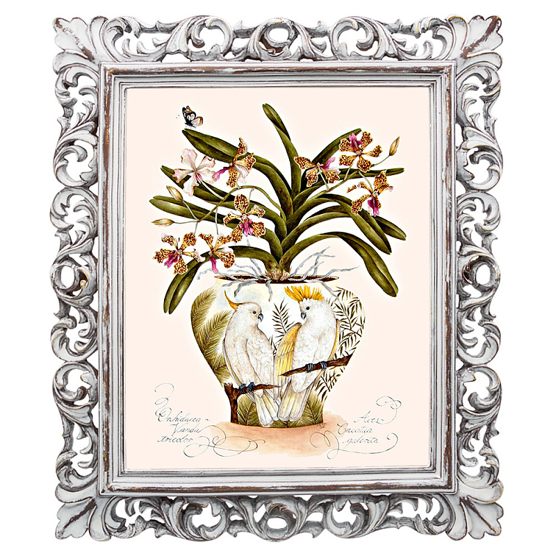 Постер White Parrots and Orchid Poster Мульти Белый винтажная патина Постер White Parrots and Orchid Poster Мульти Белый винтажная патина в Челябинске | Loft Concept