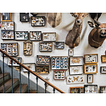 Книга Extraordinary Collections: French Interiors варинант исполнения - 11 | Loft Concept в Челябинске