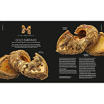 Книга Treasures of India From Antiquity to Modernity варинант исполнения - 3 | Loft Concept в Челябинске