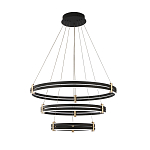 Люстра светодиодная с 3-мя плафонами в форме колец из акрила и алюминия с пультом для регулировки света Ring Horizontal Anthracite варинант исполнения - 6 | Loft Concept в Челябинске