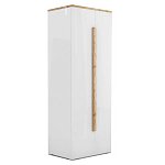 Шкаф платяной с белым глянцевым фасадом Grace of Furniture варинант исполнения - 1 | Loft Concept в Челябинске