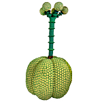 Статуэтка Зеленый тропический фрукт Pandora Tropical Light Green 69 варинант исполнения - 3 | Loft Concept в Челябинске