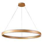 Люстра подвесная светодионая кольцевая золотого цвета Ring Horizontal варинант исполнения - 1 | Loft Concept в Челябинске
