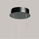 Люстра с прозрачным волнистым плафоном в форме цветка Ethereal Bloom варинант исполнения - 11 | Loft Concept в Челябинске