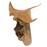 Статуэтка из дерева скат Animals of the World варинант исполнения - 2 | Loft Concept в Челябинске