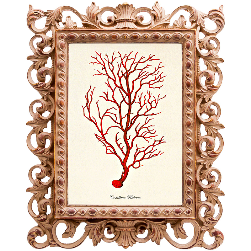 Постер Red Coral Poster 4 Бежевый Красный в Челябинске | Loft Concept 