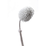 Статуэтка тропический фрукт Pandora Tropical Fruit Tall White варинант исполнения - 1 | Loft Concept в Челябинске