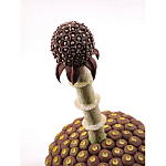 Статуэтка тропический фрукт Pandora Tropical Fruit Brown варинант исполнения - 1 | Loft Concept в Челябинске