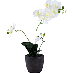 Декоративный искусственное растение Angel Orchid варинант исполнения - 1 | Loft Concept в Челябинске