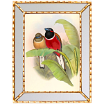 Постер с изображением птиц и цветов в зеркальной раме Blooming Birds Poster варинант исполнения - 6 | Loft Concept в Челябинске
