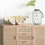 Блюдо декоративное в виде ракушки Seashell варинант исполнения - 1 | Loft Concept в Челябинске