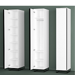 Шкаф-пенал белый с зеркальной дверцей Strict Lines варинант исполнения - 5 | Loft Concept в Челябинске