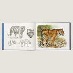 Лимитированная подарочная книга HERMES Fierce and Fragile book, English version варинант исполнения - 2 | Loft Concept в Челябинске