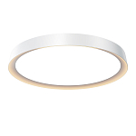 Потолочный светильник Incognito 2700-4000К 46Вт варинант исполнения - 1 | Loft Concept в Челябинске