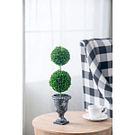 Декоративный искусственное растение Double boxwood варинант исполнения - 5 | Loft Concept в Челябинске