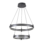 Люстра светодиодная с 2-мя плафонами в форме колец из акрила и алюминия с пультом для регулировки света Ring Horizontal Black варинант исполнения - 4 | Loft Concept в Челябинске
