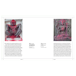 Книга Tantra: Enlightenment to Revolution варинант исполнения - 4 | Loft Concept в Челябинске