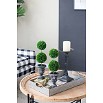 Декоративный искусственное растение Double boxwood варинант исполнения - 8 | Loft Concept в Челябинске