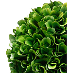 Декоративный искусственное растение Single boxwood варинант исполнения - 2 | Loft Concept в Челябинске