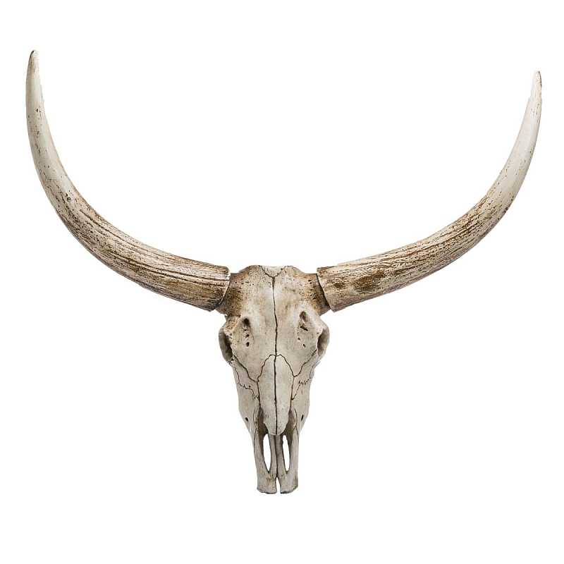 Череп быка Bull Skull Бежево-серый Череп быка Bull Skull Бежево-серый в Челябинске | Loft Concept