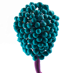 Статуэтка для интерьера фрукт Pandora Tropical Fruit 22 варинант исполнения - 2 | Loft Concept в Челябинске