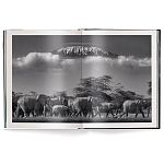 Книга Beusker. Look into my Eyes варинант исполнения - 2 | Loft Concept в Челябинске